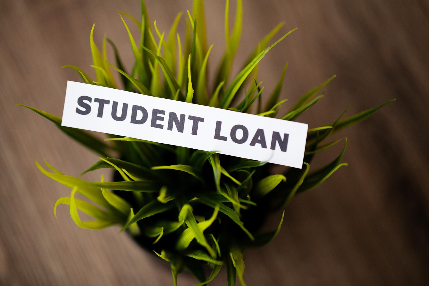 California Private Student Loan Collections
